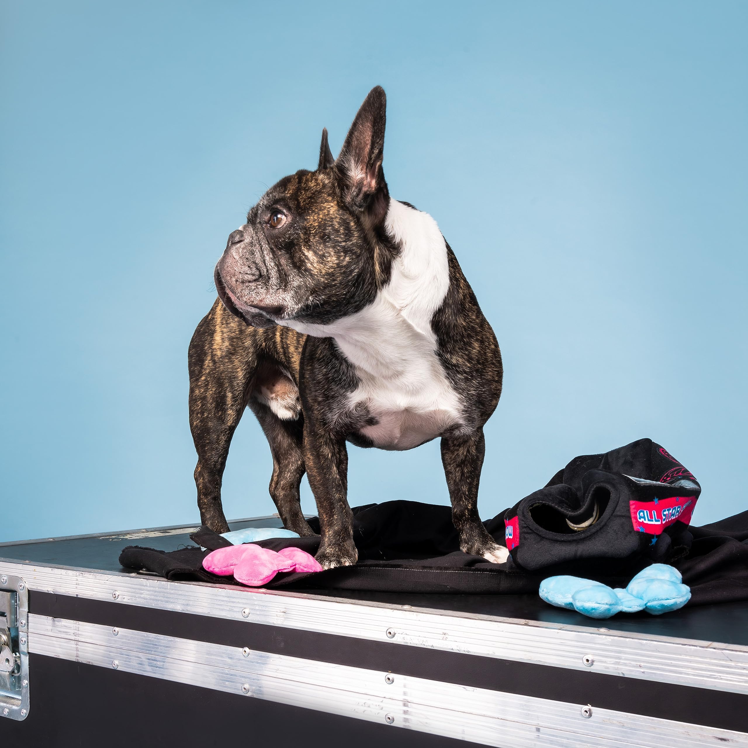 Doggy Parton Plush Dog Toys Collection - Tour Bus Hideaway for Small & Medium Dogs | Soft & Durable Chew Toy for Puppies | Perfect for Travel, Crate Training & Playtime