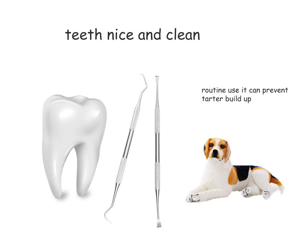 Dog Teeth Cleaning Tools - Stainless Steel Double Head Dental Scraper & Tartar Remover for Canine Oral Care - Perfect for Home Pet Dental Hygiene and Teeth Cleaning Routine
