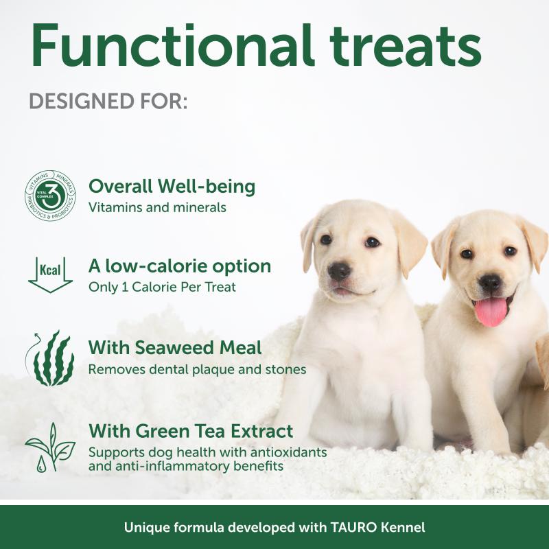 Healthy Insect-Based Dog Snacks for Puppies - Protein-Rich Treats for Growth & Development - Perfect for Training & Rewarding Small Dogs