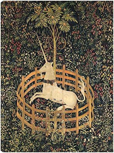 The Unicorn in Captivity