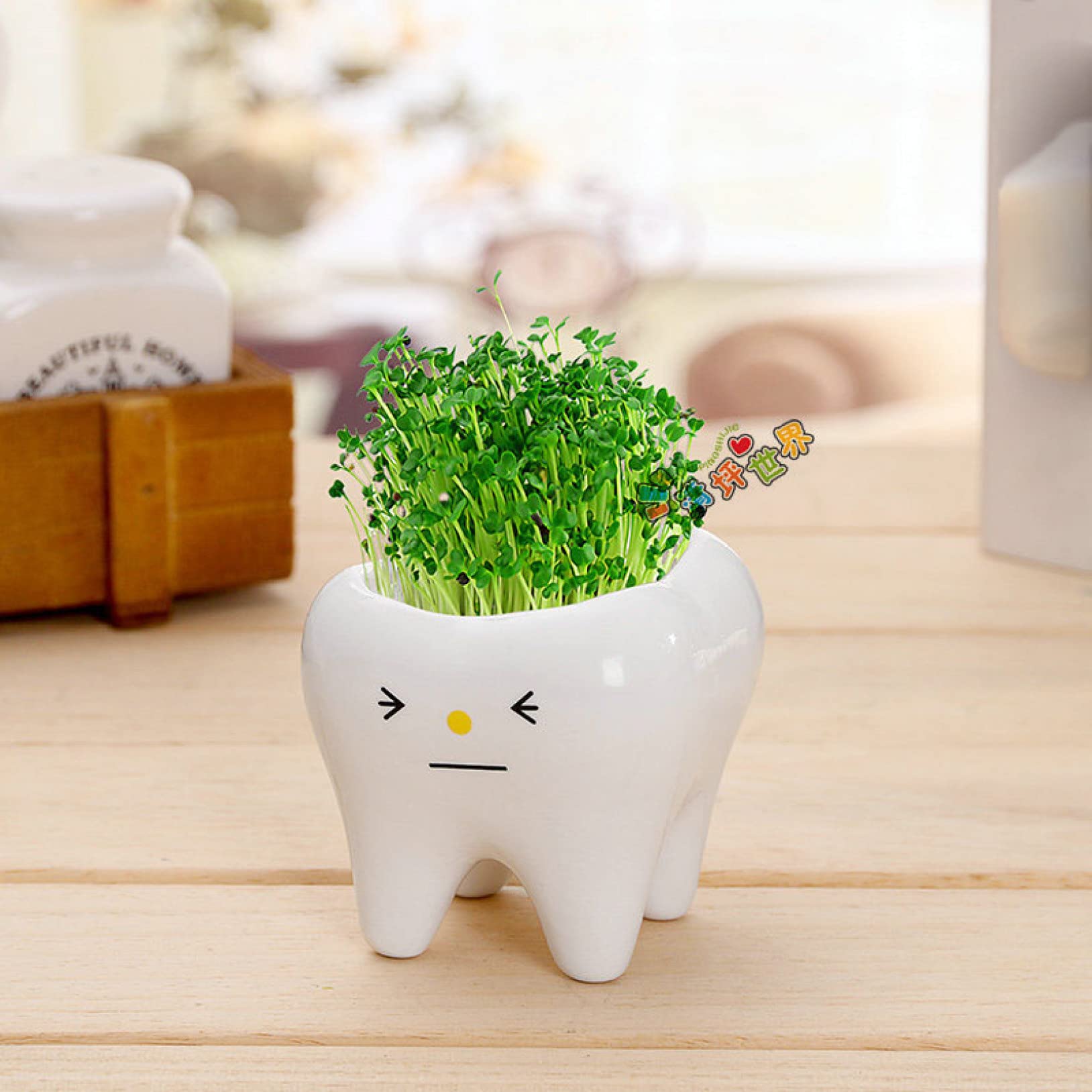 Cute Tooth Pot Vase - Creative Ceramic Cartoon Planter for Succulents & Small Plants - Home Desktop & Balcony Decor - Perfect for Office, Living Room & Gift Giving