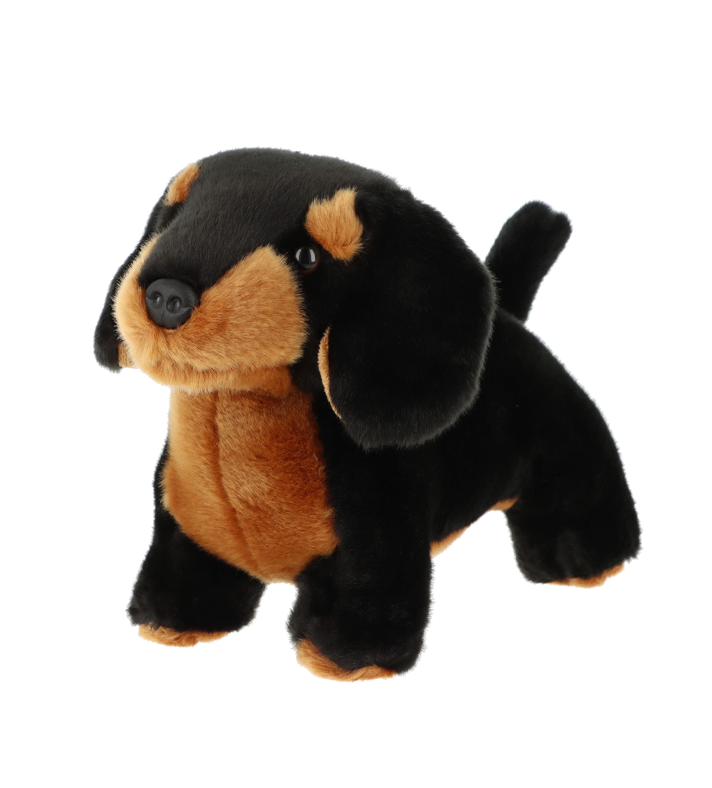 Keel Toys Dachshund SD0523 Saucisse 32 cm Plush Dog - Cute Stuffed Animal Toy for Kids, Gifts & Collectibles | Perfect for Playtime, Nursery Decor & Dachshund Lovers