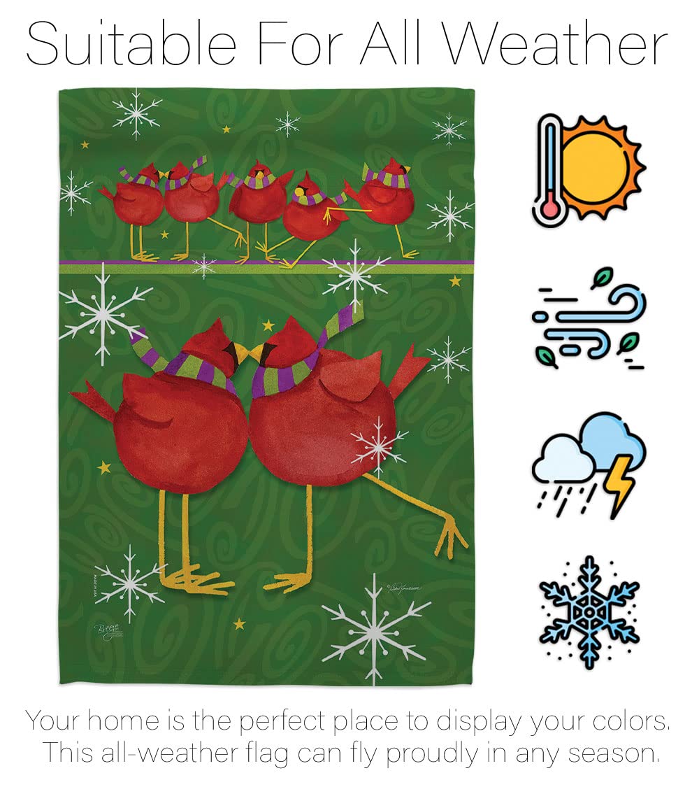 Callin All Cardinals Winter House Flag Set 28x40 - Outdoor Holiday Decor