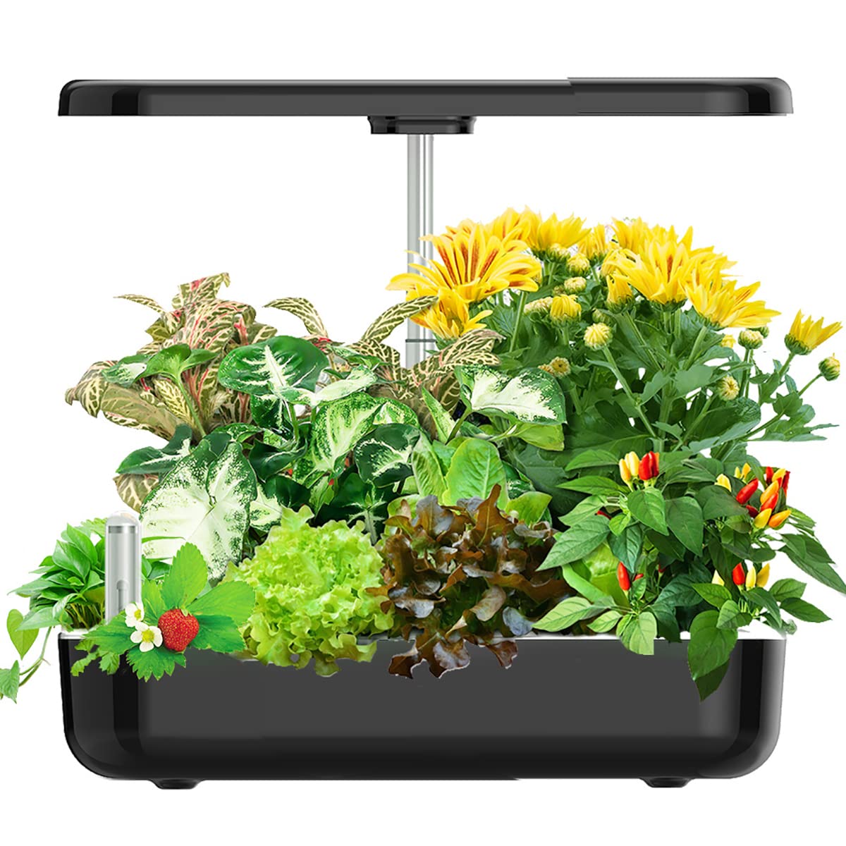 Indoor Herb Garden Kit - Hydroponic Growing System with Full Spectrum LED Grow Light, Height Adjustable, Smart Hydroponic Planter with 12 Pods, Black - Perfect for Kitchen, Home, Office, and Indoor Gardening