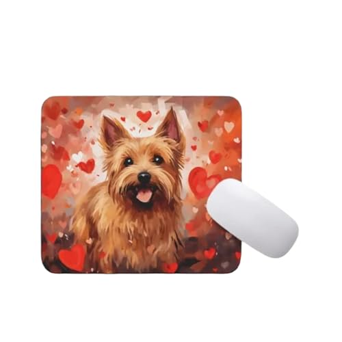 Australian Terrier