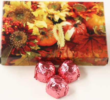 Scott's Cakes White Chocolate Chocolate Chip Marzipan Candies with Pink Foils - 1 Pound Fall Leaf Gift Box | Gourmet Holiday Treats for Christmas, Thanksgiving & Birthday Gifting