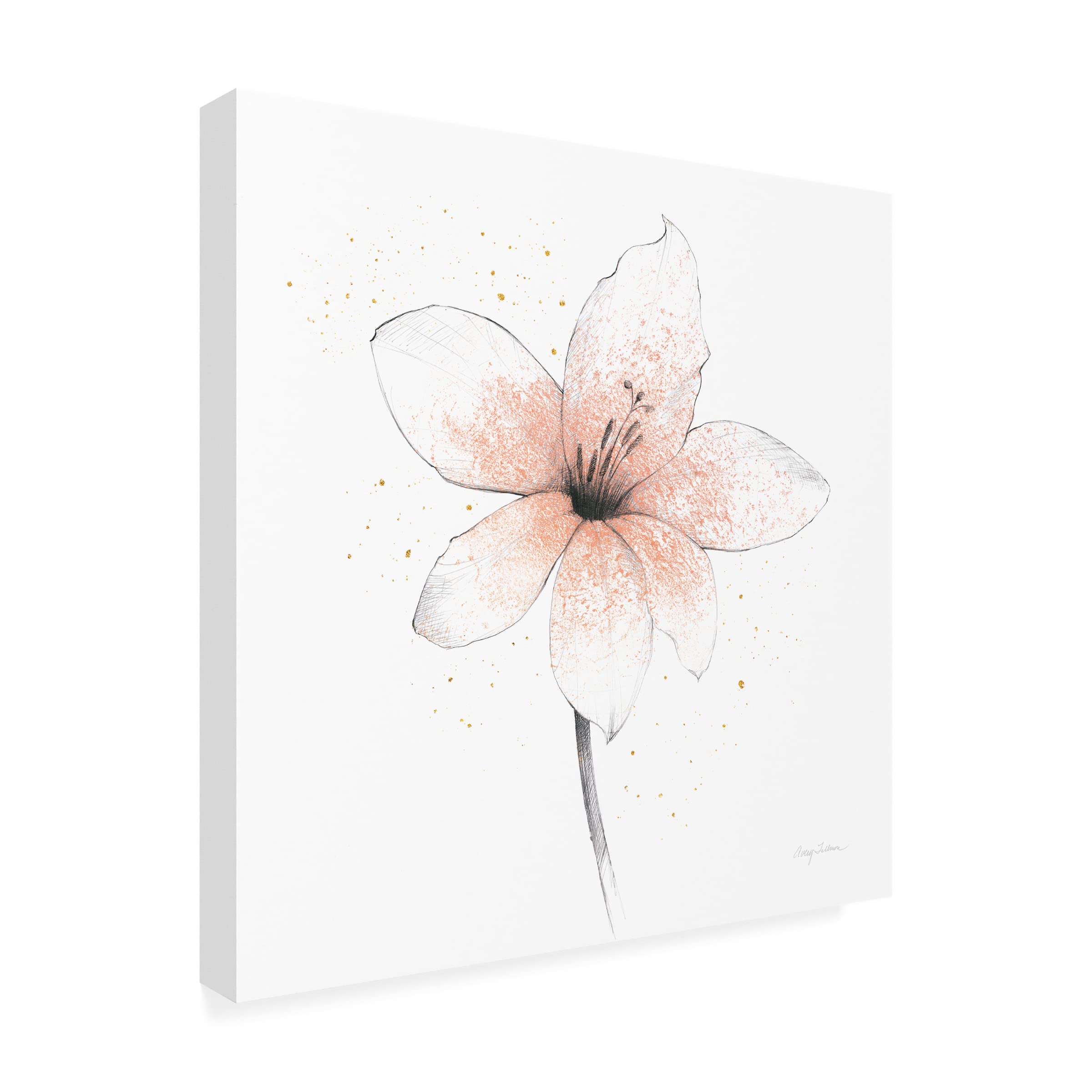 Avery Tillmon 'Coral Graphite Flower II' Canvas Wall Art Print - Modern Botanical Home Decor for Living Room, Bedroom & Office