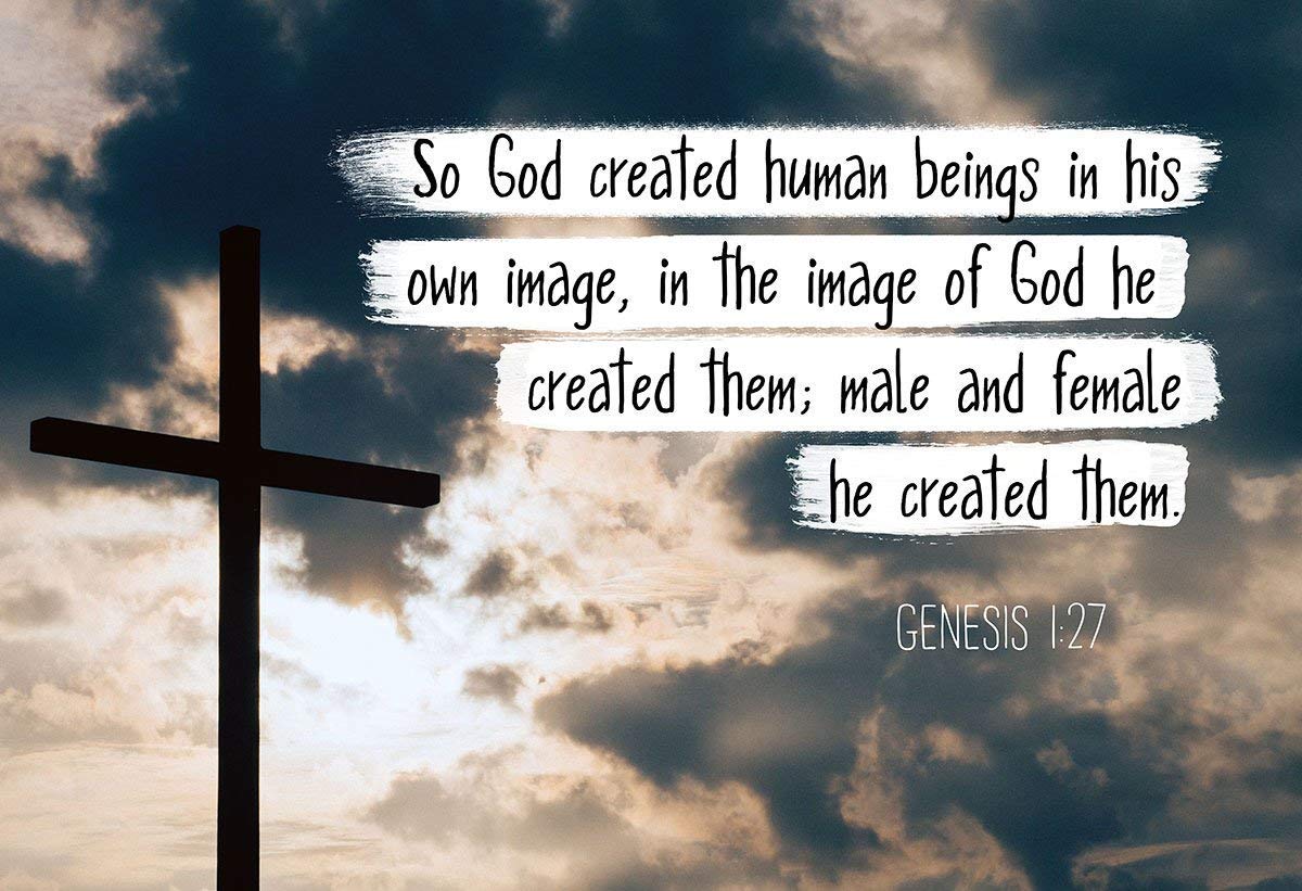 Genesis 1:27 Bible Verse Poster - 13x19 Inch Inspirational Scripture Wall Art | Christian Home Decor & Gift Idea for Baptism, Wedding, Church | Unframed Print Under $20
