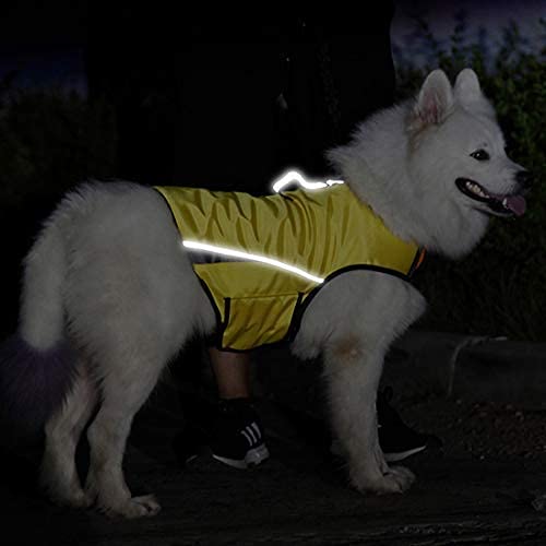 Calming Anxiety Vest for Small Dogs - Thunder Shirt with D-Ring & Training Handle - Reduce Stress During Storms, Fireworks & Travel - Perfect for Nervous Pets