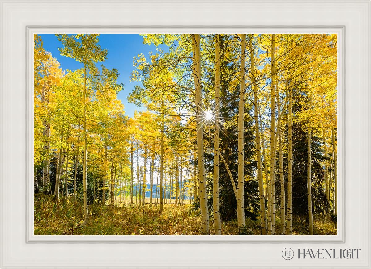 Autumn in the Rocky Mountains - Stunning Fall Foliage at Wasatch National Forest Utah | Perfect for Hiking, Photography & Nature Exploration