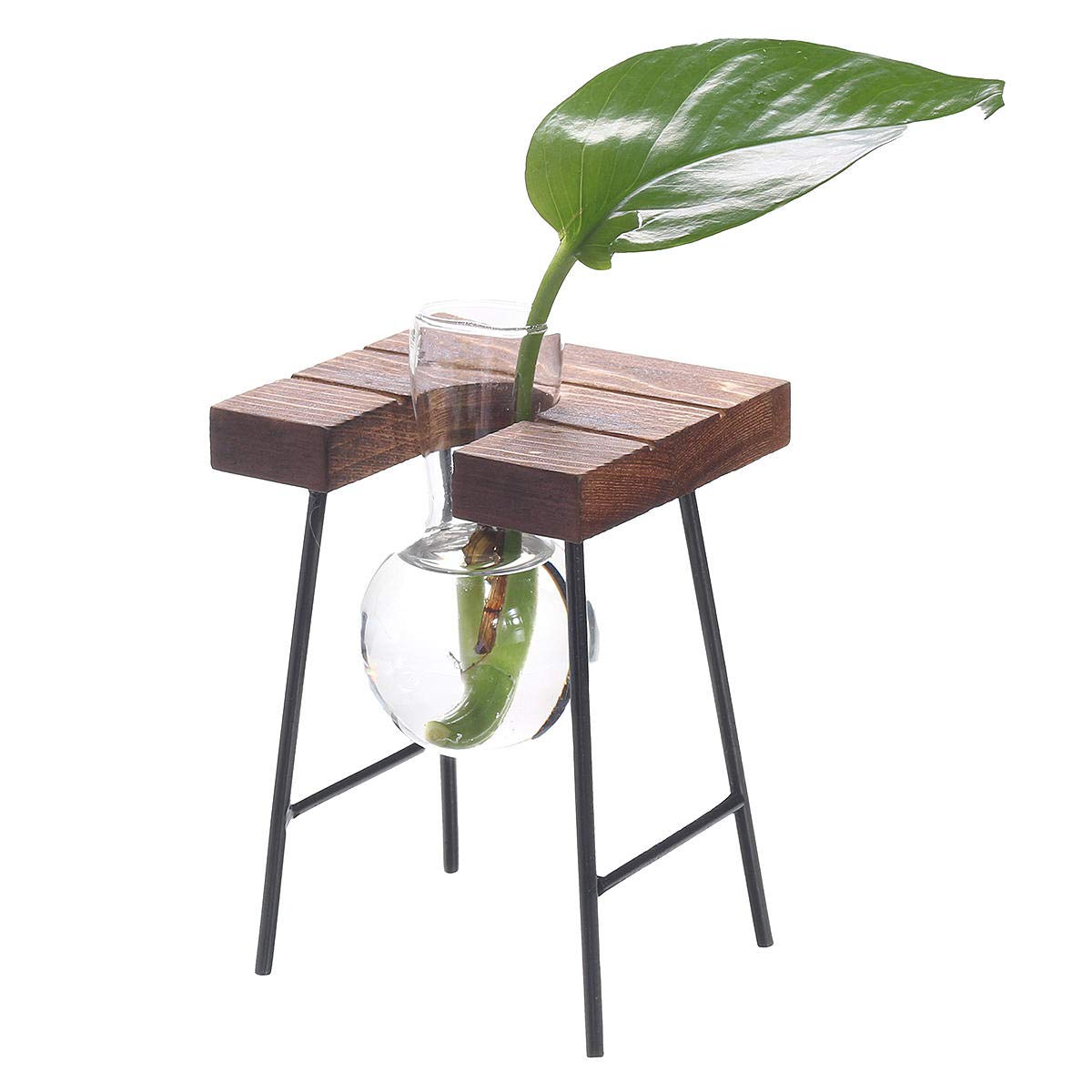 JIEIIFAFH Glass Ball Vase for Hydroponic Plants, Flower Bottle with Wooden Stand - Elegant Table & Desk Decor for Home, Office, Wedding, Party (#1 Color)