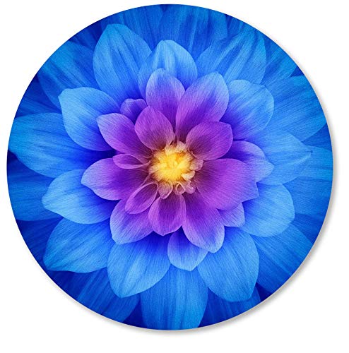 Blue Lotus Flower