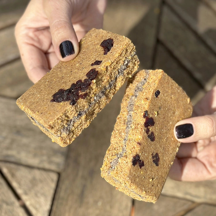Premium Energy+ Suet Cakes with Cranberry Filling - High Protein Wild Bird Food, 12 Pack - Perfect for Backyard Bird Feeding & Attracting Woodpeckers, Nuthatches in Winter