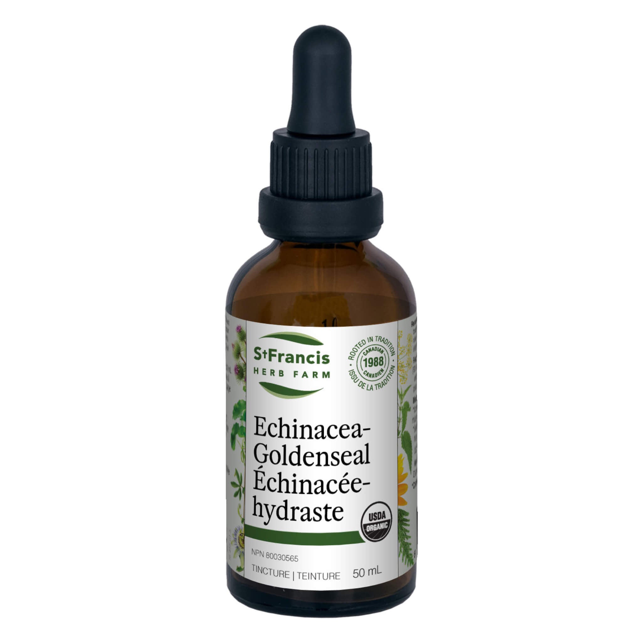 Organic Echinacea & Goldenseal Tincture - Immune Support Herbal Supplement for Cold & Flu Relief, Natural Wellness Boost - Use for Daily Immune Health, Seasonal Wellness, and Natural Detox