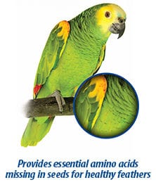 Hari Prime Vitamin Mineral Amino Acid Supplement for Birds - Essential Avian Nutrition for Health & Feather Growth - Perfect for Parrots, Canaries & Finches at Home or Aviary