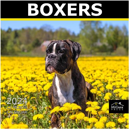 10 - Boxers