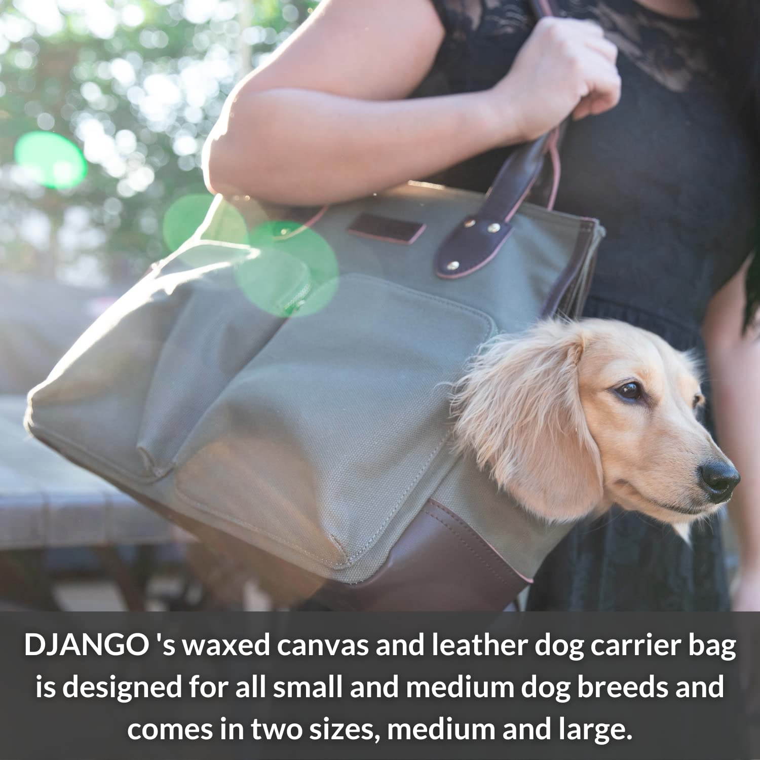 Premium Waxed Canvas & Leather Dog Carrier Bag - Medium Olive Green Pet Travel Tote with Safety Harness Tether, Secure Zipper Pockets & Water-Resistant Lining - Perfect for Air Travel, Road Trips & Outdoor Adventures with Your Small to Medium Dog