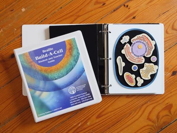 Build a Cell Kit - DIY Science Experiment for Kids & Adults - STEM Educational Toy for Learning Biology - Perfect for Classroom, Homeschool & Science Projects