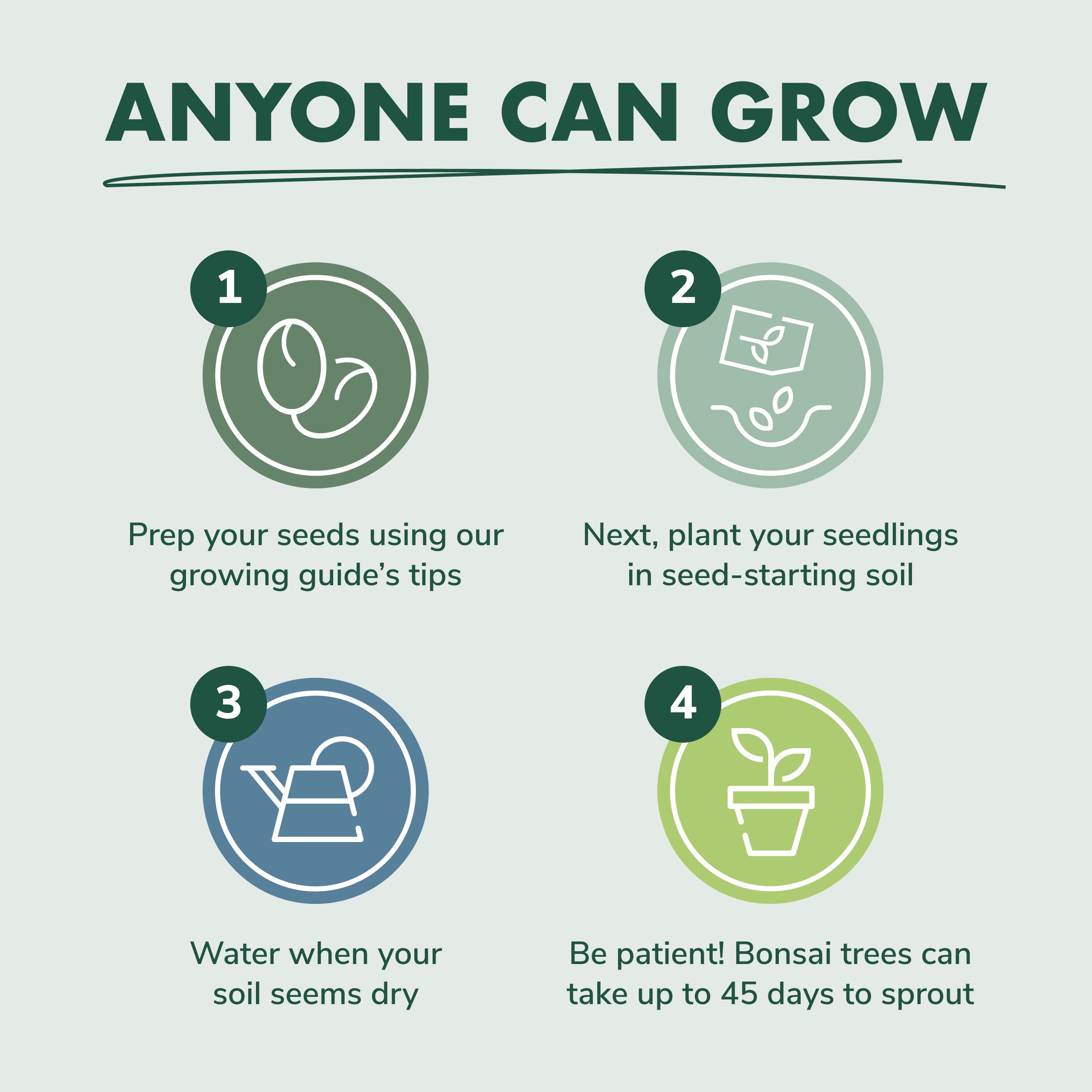 Bonsai Tree Starter Kit - Grow 3 Mini Bonsai Trees Indoors with Seeds, Soil, Pots & Pruning Shears | Complete Gardening Gift Set for Women & Men | Perfect for Home Decor, Office Plants & Relaxing Hobby