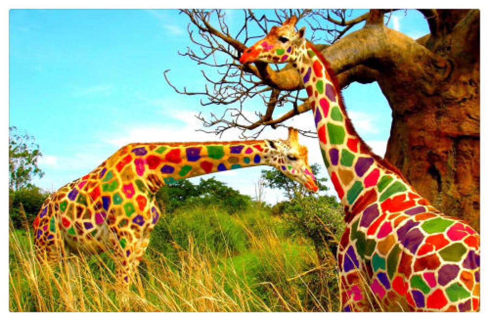 1000 Piece Jigsaw Puzzle for Adults - Colorful Giraffe Wooden Puzzle, Home Decor Wall Art, Stress Relief & Family Game Night Activity