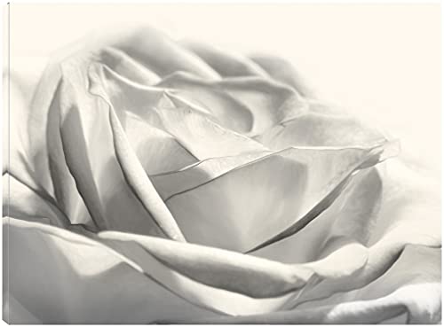 Rose III