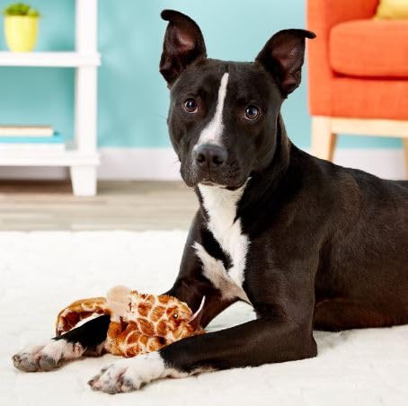 SPOT Mini Skinneeez Stuffless Dog Toy with Squeaker - Soft Plush Giraffe Tug of War Squeak Toy for Small & Large Dogs | Interactive Chew Toy for Puppies & Adult Dogs | Perfect for Indoor Play, Training & Bonding Time