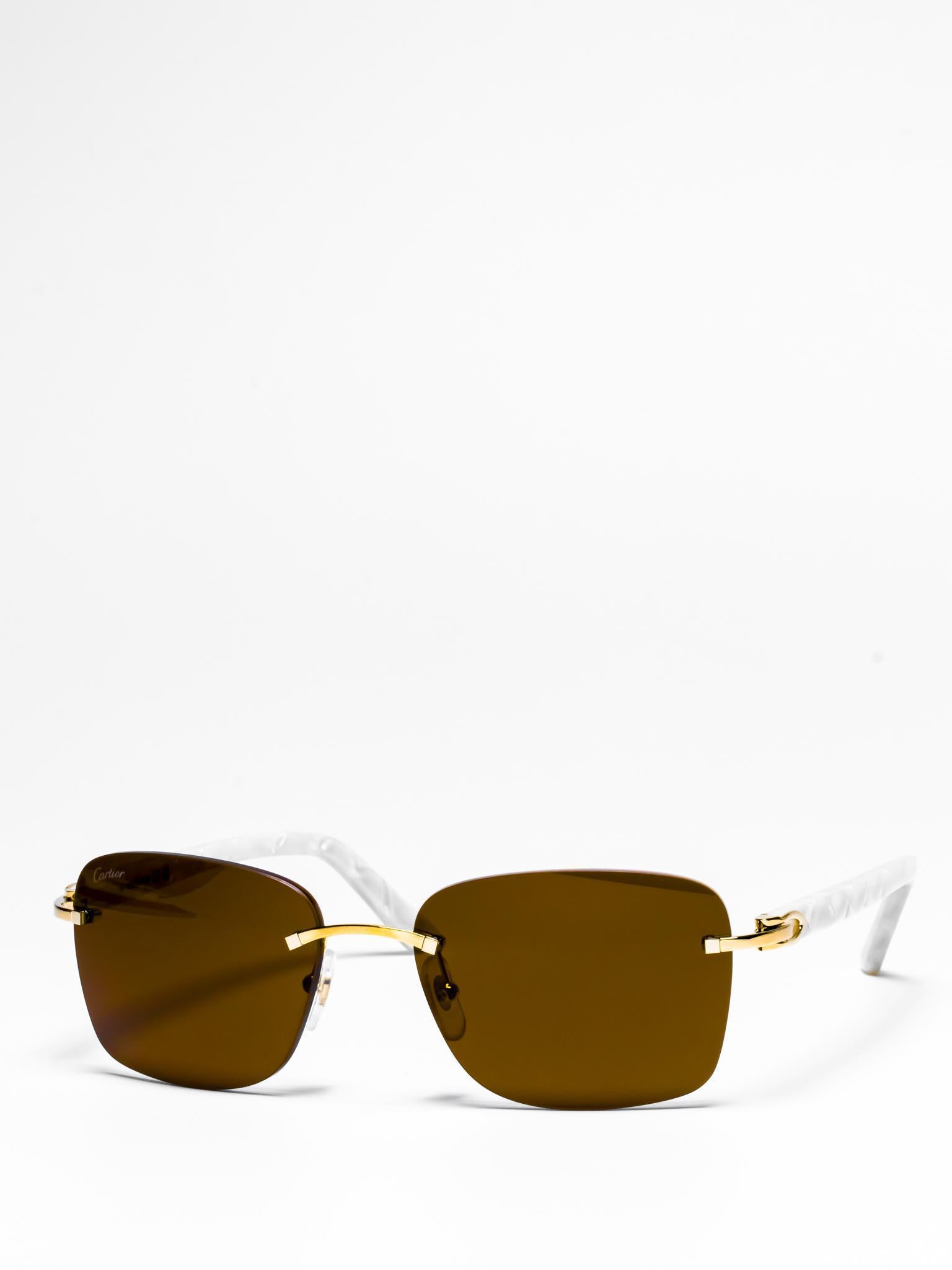 Cartier CT0034RS 001 C Décor Sunglasses - Luxury Designer Shades for Women & Men | Perfect for Beach, Driving & Fashion Outfits