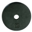 Ader Standard 1-Inch Hole Cast Iron Weight Plate - 20 LB Pair (Black) for Home Gym, CrossFit & Strength Training
