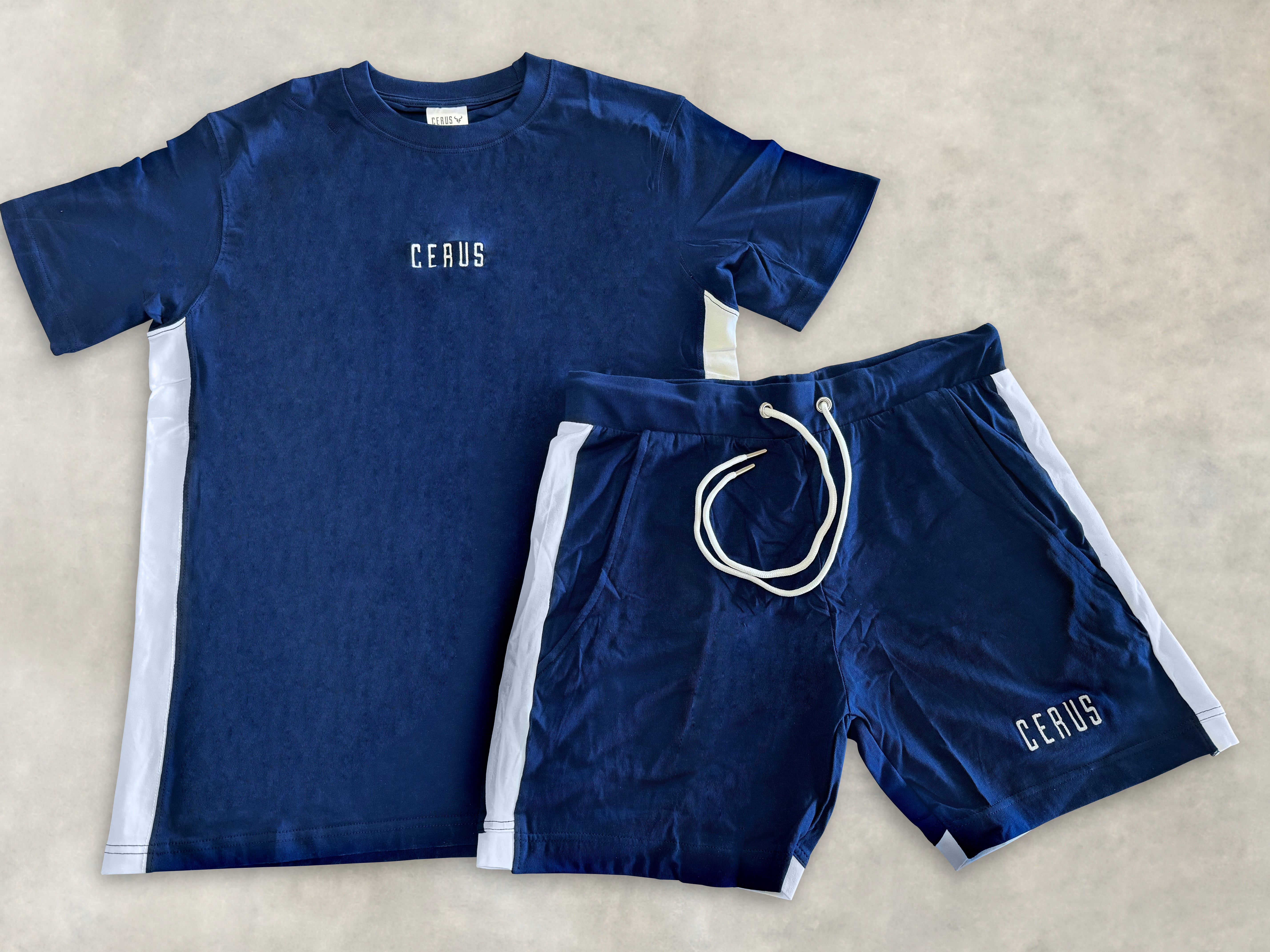Cerus Navy Blue T-Shirt for Men - Soft Cotton Crew Neck Tee - Casual & Comfortable Everyday Wear for Gym, Workout, and Street Style