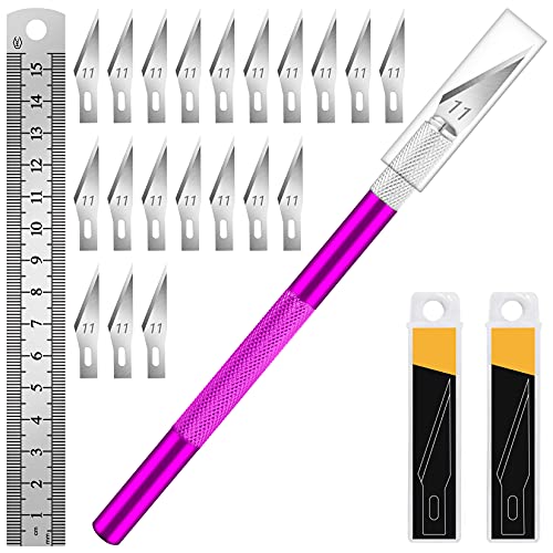 Purple-20blades