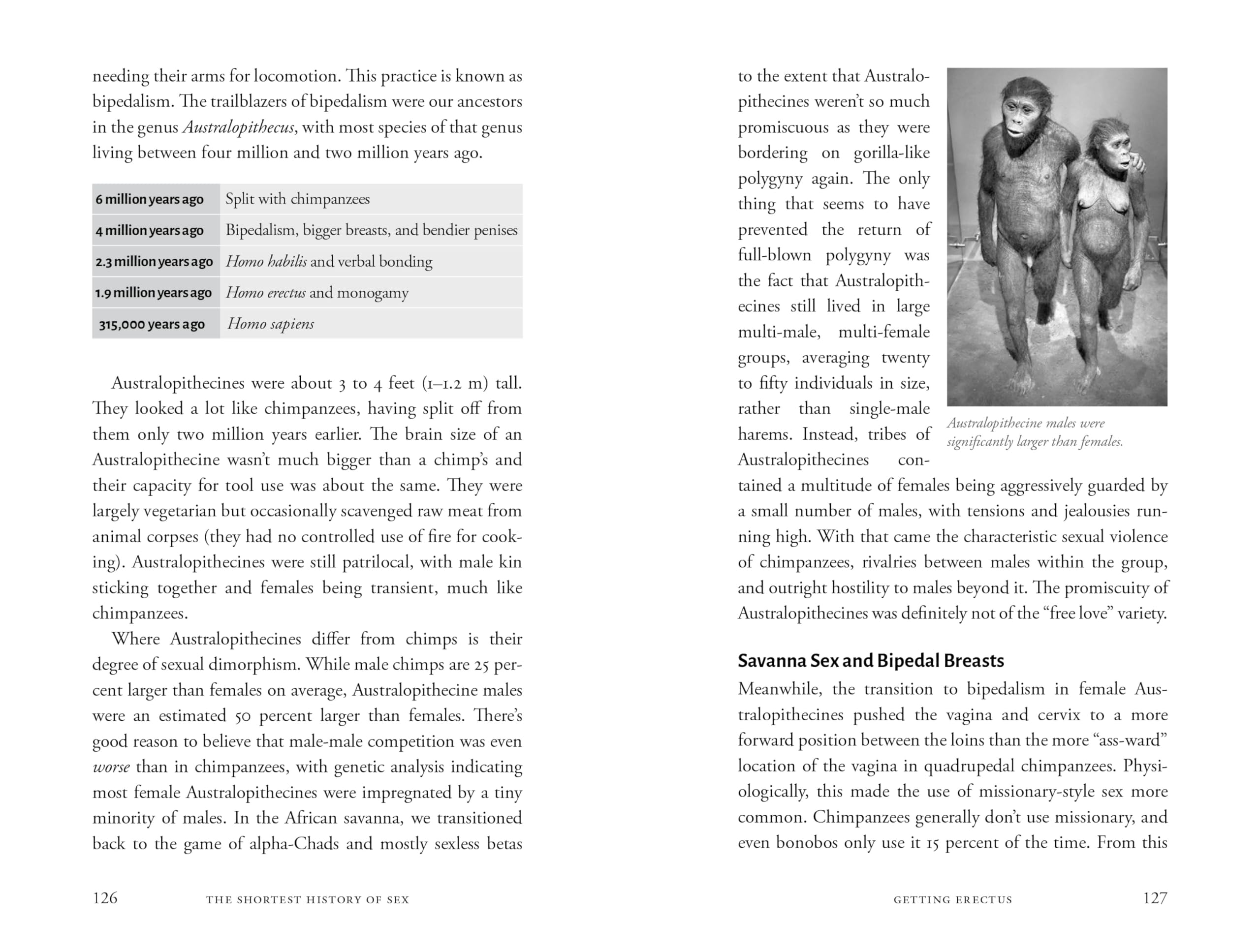 The Shortest History of Sex: 2 Billion Years of Procreation and Recreation - Science & Evolution Book for Adults | Perfect for History Buffs, Book Clubs & Educational Gifts
