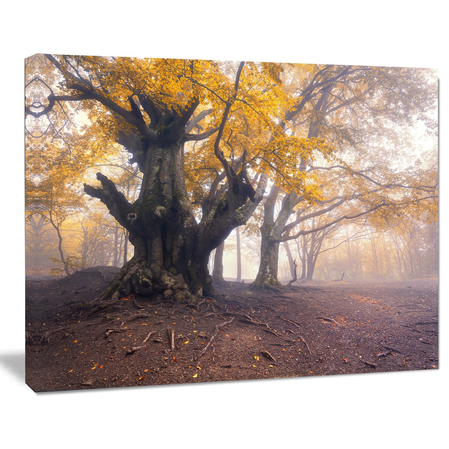 Dark Tree with Yellow Leaves Landscape Photography Canvas Print - Autumn Forest Wall Art for Living Room, Bedroom & Office Decor