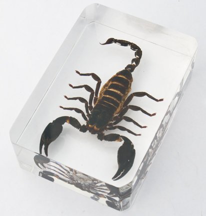 Heavy Duty Large Scorpion Paperweight - Premium Metal Office Desk Accessory for Organizing Documents, Perfect Gift for Home & Office Use
