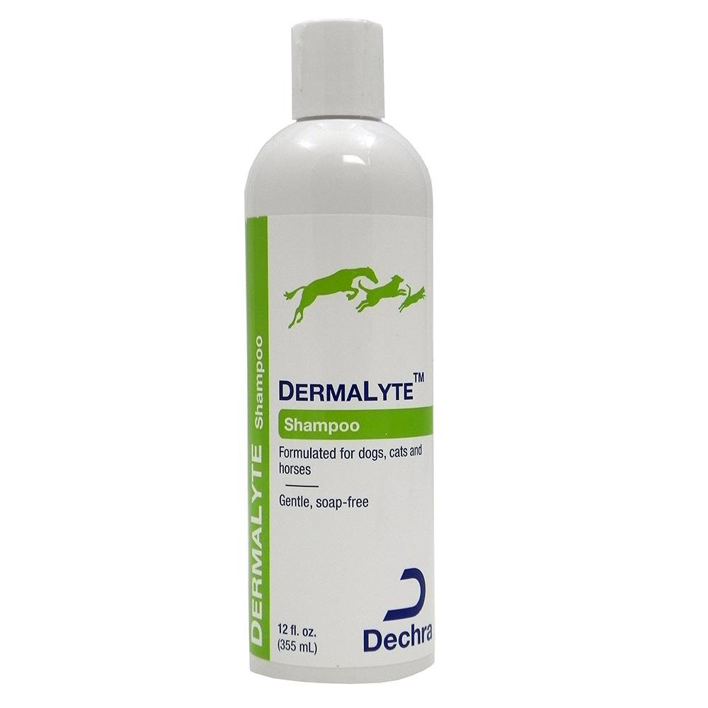 Dechra DermaLyte Shampoo for Dogs & Cats - Medicated Itch Relief & Skin Soothing Formula - Ideal for Allergies, Hot Spots & Dermatitis - Vet Recommended Pet Care Solution