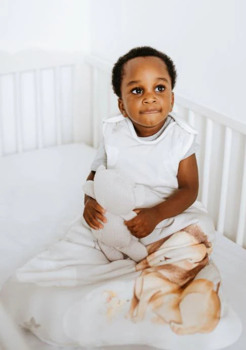 Glitter & Spice Baby Sleep Sack - Safe, Breathable & Cozy Wearable Blanket for Infants & Toddlers | 1.0 TOG for All-Season Comfort | Perfect for Nursery, Daycare & Travel