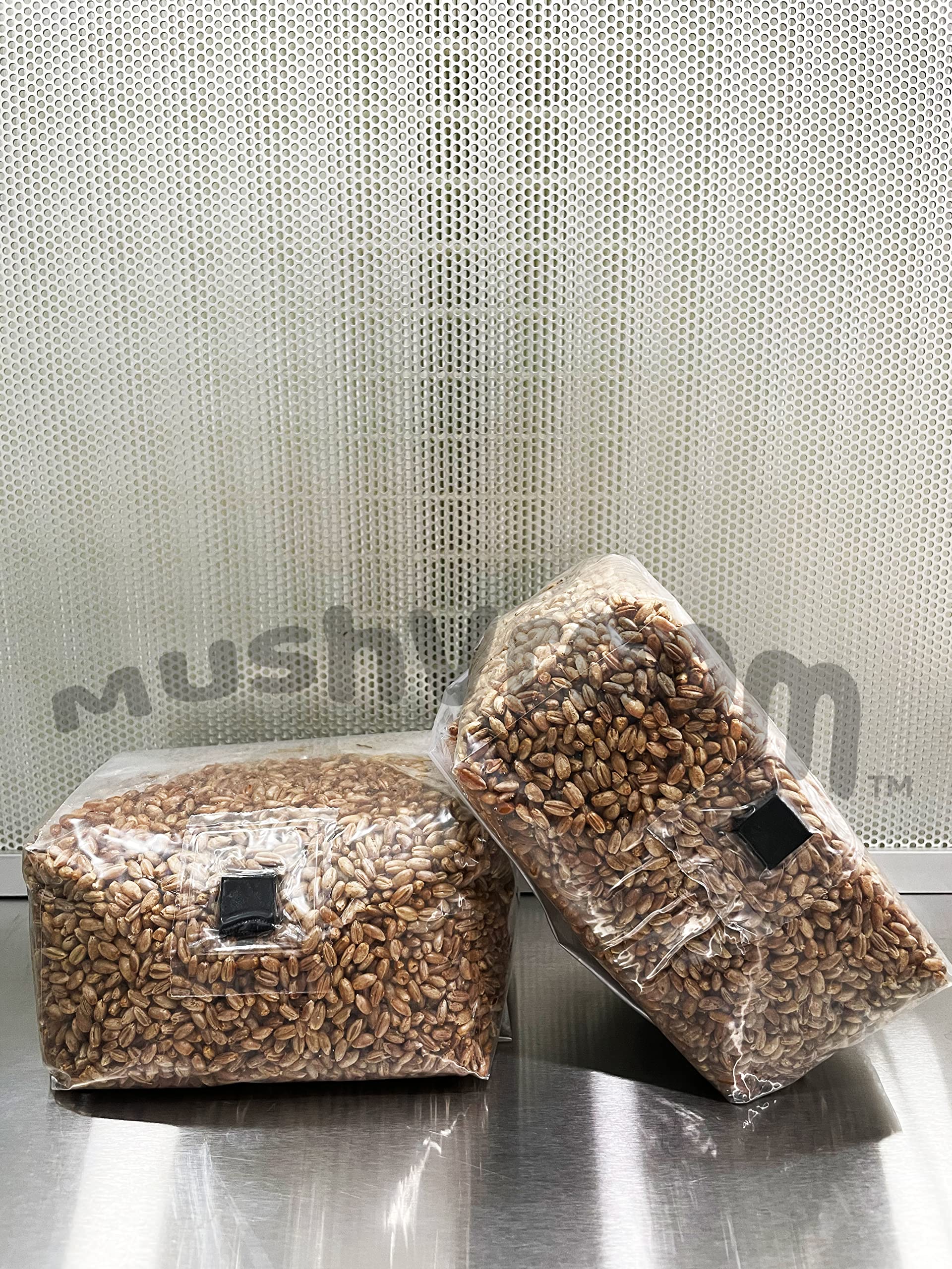 Organic Sterilized Rye Berry Grain Bags - Biodegradable Mushroom Growing Substrate for Home Cultivation & Mycology Labs | Perfect for Oyster, Shiitake, and Lion's Mane Mushrooms