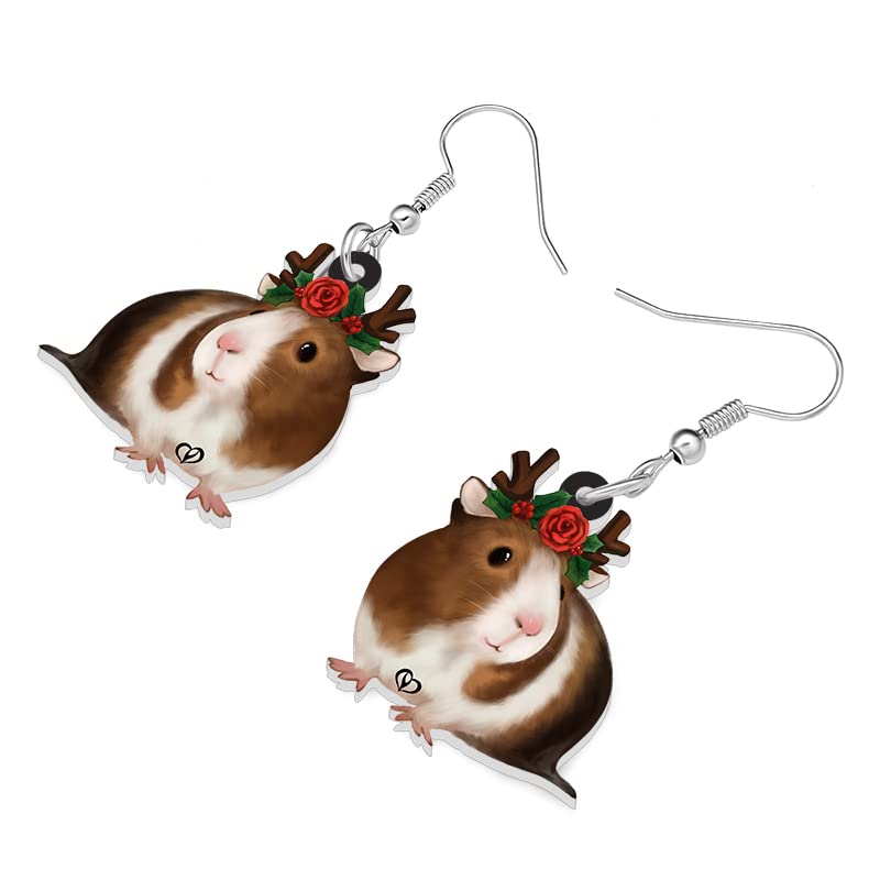 NEWEI Guinea Pig Earrings for Women - Dangle Jewelry Gifts for Guinea Pig Lovers, Christmas, Graduation & Birthday - Perfect for Animal Lovers & Pet Owners