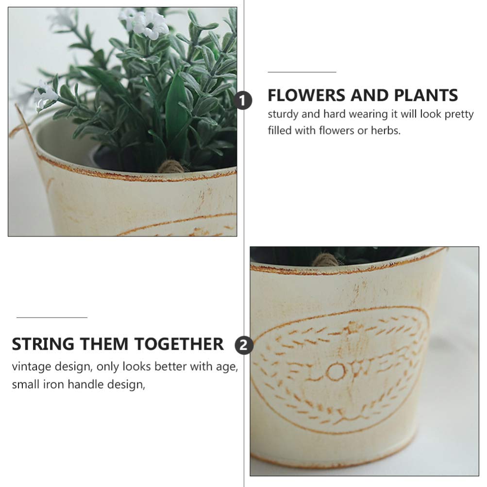 Hemoton 2-Pack Metal Hanging Planters for Indoor Plants - Iron Flower Pots with Hooks for Succulents, Herbs & Cacti | Perfect for Home, Garden, Balcony & Office Decor