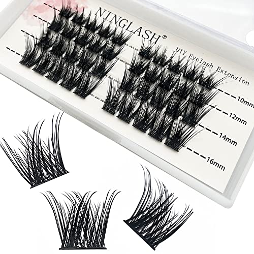 DIY Eyelash Extension Kit - 40 Pcs Soft Natural Individual Lashes (10/12/14/16mm Mix) | Reusable Lash Clusters for Home & Salon Use | Lightweight False Lashes for Everyday Glam & Special Occasions