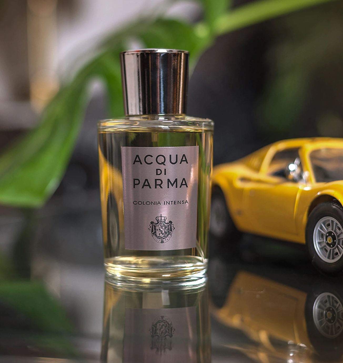 Acqua Di Parma Colonia Intensa Eau de Cologne for Men - 6.0 oz Fresh Citrus & Woody Fragrance Spray | Perfect for Daily Wear, Office & Special Occasions