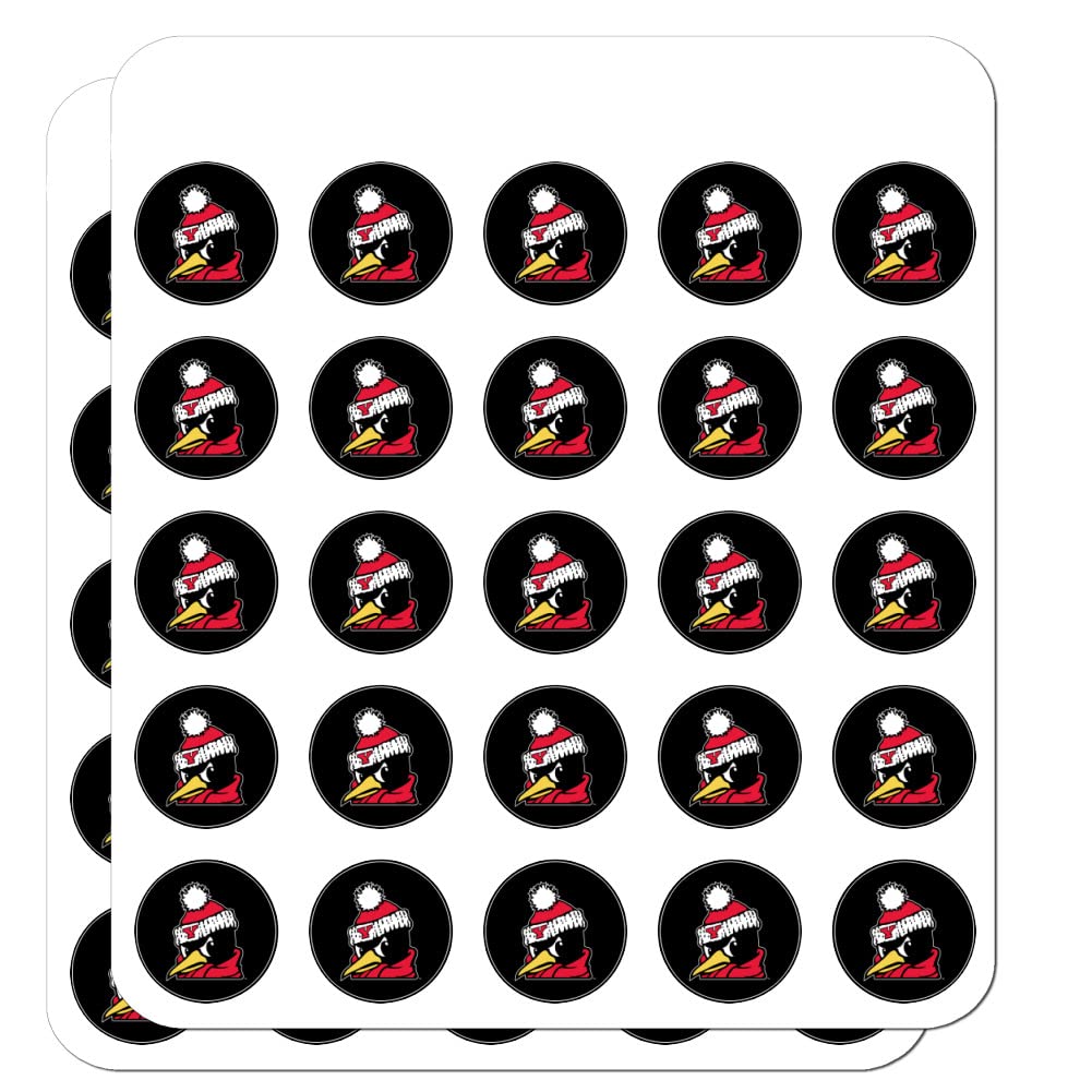 Youngstown State University Secondary Logo 1 Inch Planner Stickers - Clear Scrapbooking & Crafting Decals for Bullet Journals, DIY Projects, and School Supplies