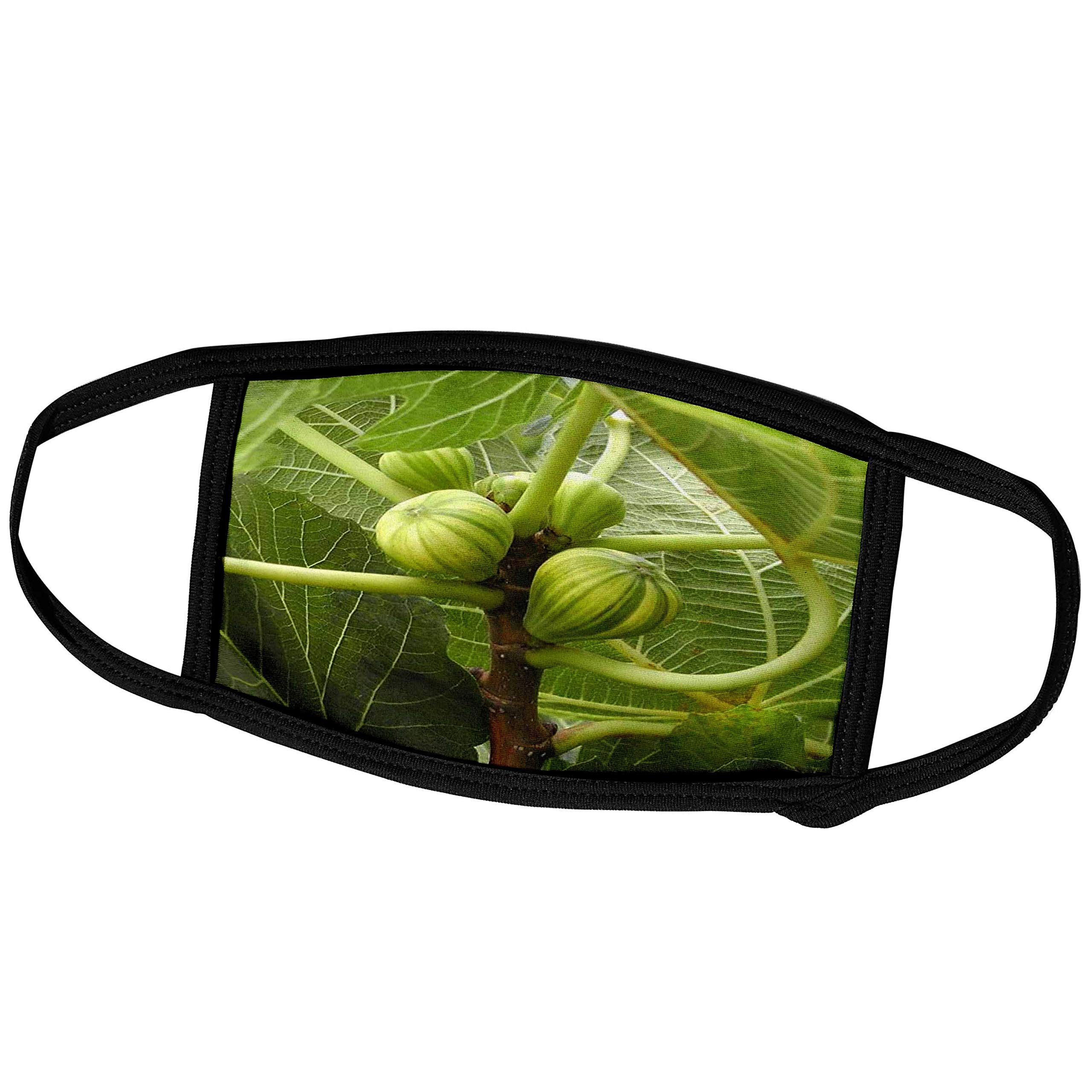 3D Printed Face Masks with Epicurean Fig Photography Design - Healthy Food & Fruit Inspired Fashion Accessory for Photography Enthusiasts & Health-Conscious Individuals - Perfect for Daily Wear, Photo Shoots, and Healthy Lifestyle Promotion