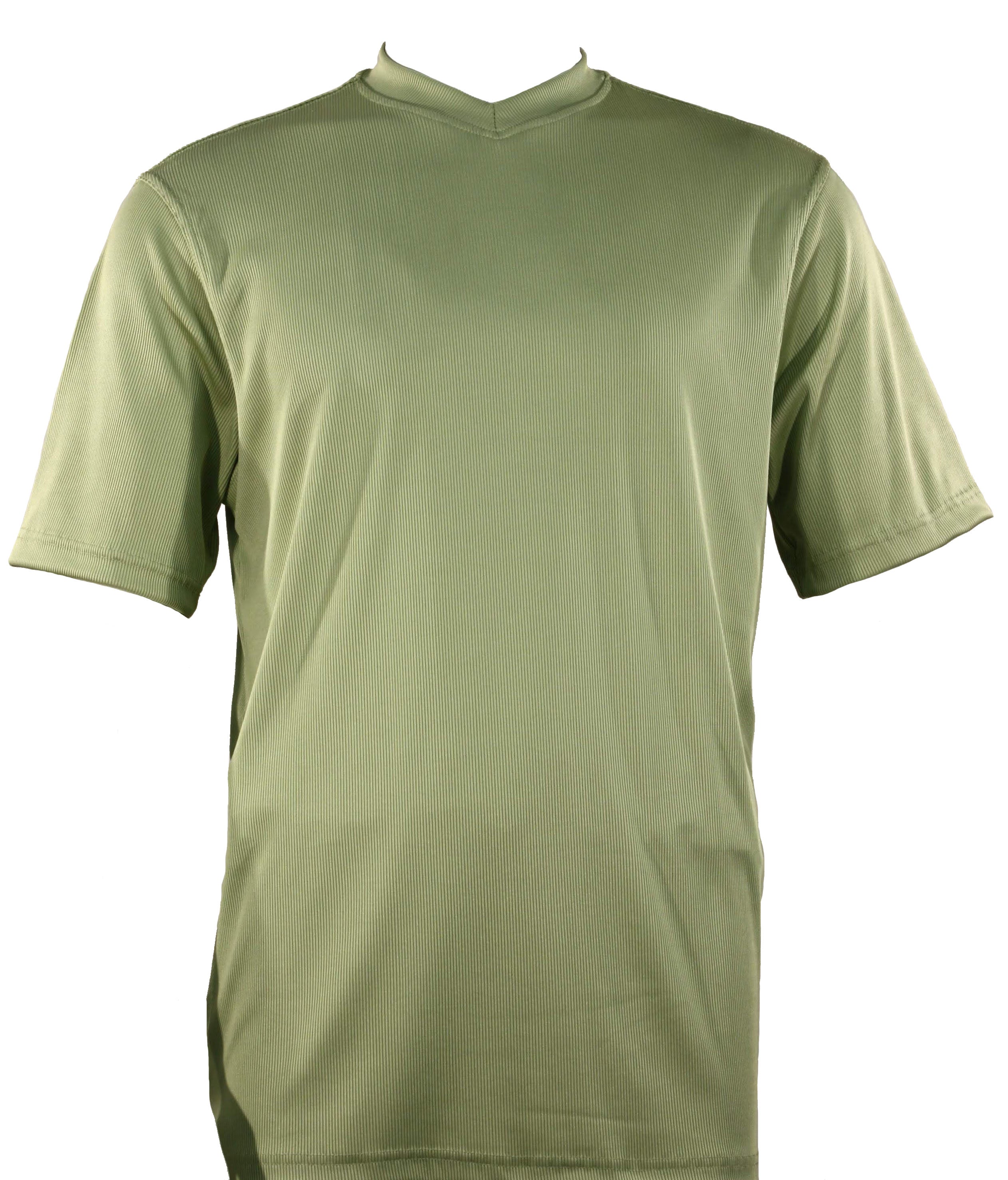 Bassiri Short Sleeve V-Neck Mint Green T-Shirt 219 - Casual Summer Wear for Men & Women