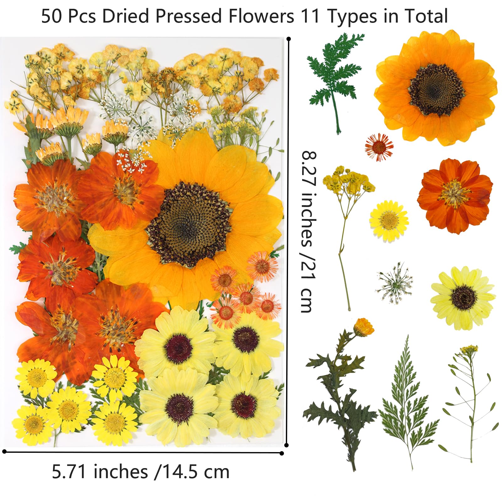 50 Pcs Natural Dried Pressed Flowers & Leaves Kit for Resin Art, DIY Crafts, Candle & Soap Making - Perfect for Christmas Gifts, Nail Decor & Home Decoration