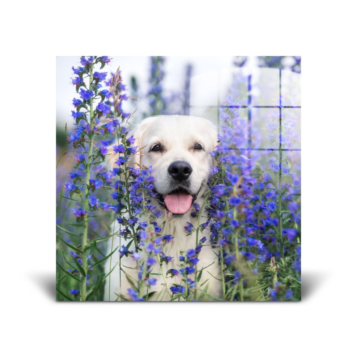 Custom Glass Photo Print - Personalized 12x12 Square Picture Wall Art for Home & Office Decor