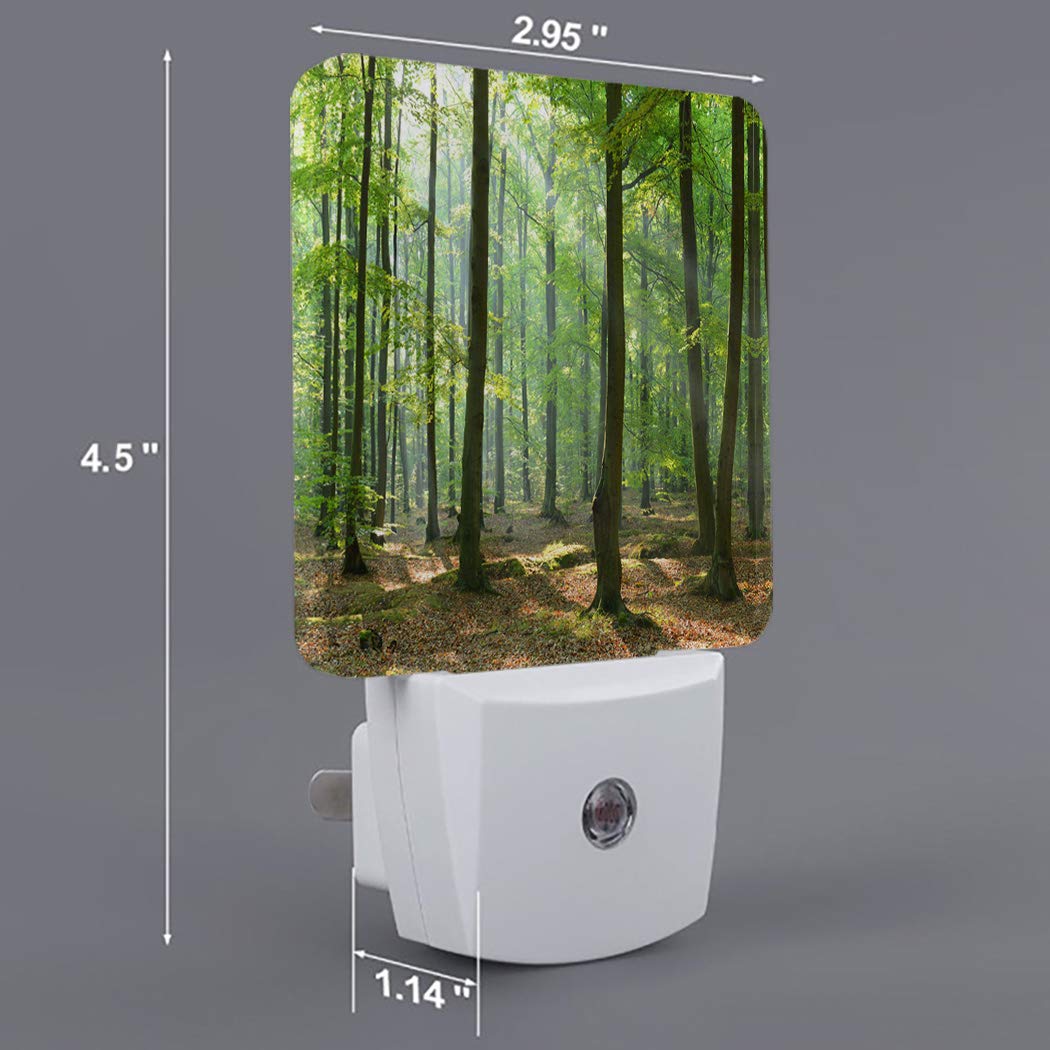 **LED Night Light Plug in with Auto Sensor - Spring Green Leaves Tree Design, Square Wall Light for Bedroom, Kids, Adults - Perfect for Nurseries, Hallways & Bathrooms**