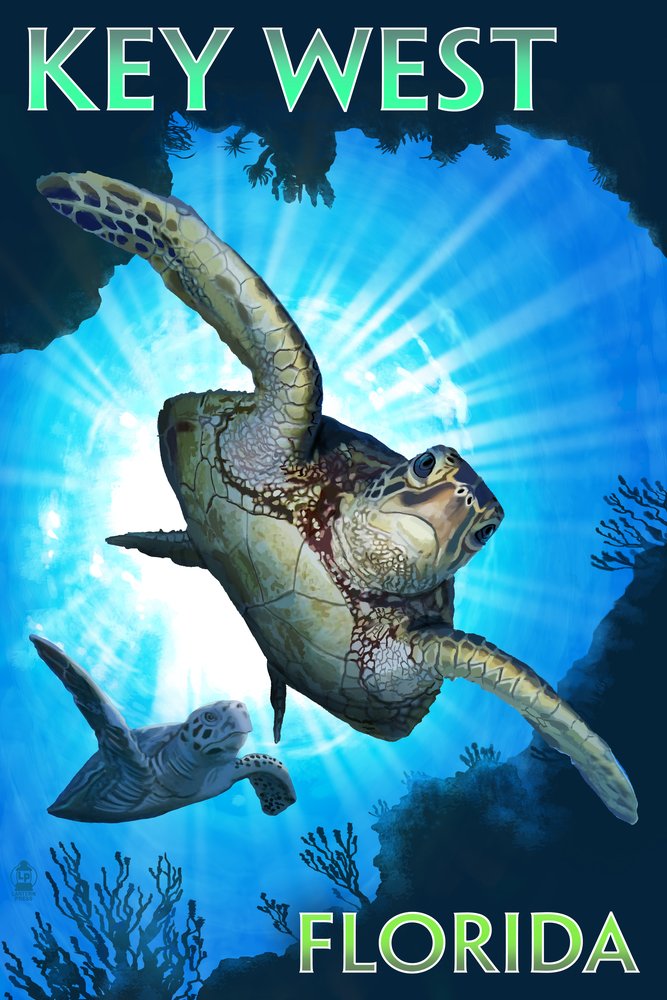 Signed Sea Turtle Diving Art Print - 24x36 Florida Key West Wall Decor Poster | Underwater Marine Life Home & Office Decoration