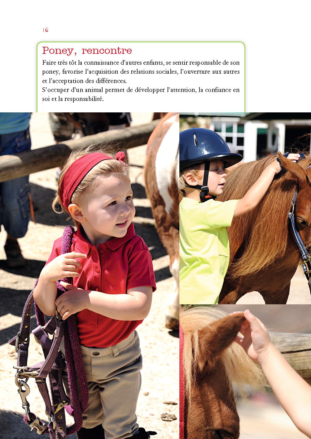 Baby Rider Journal - Cute Horseback Riding Notebook for Kids & Equestrian Enthusiasts | Perfect for Riding Lessons, Stable Visits & Equestrian Gift Ideas
