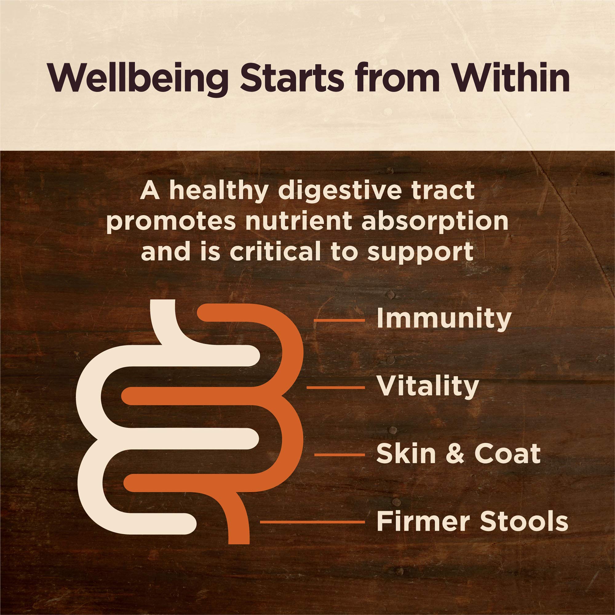 **Wellness CORE Digestive Health Dry Dog Food with Wholesome Grains, Whitefish & Brown Rice – 22lb Bag | Skin & Coat Health Dog Food Topper | Perfect for Sensitive Stomachs & Healthy Digestion**    *(Use Case: Ideal for adult dogs with digestive sensitivities, promoting gut health and a shiny coat. Great for daily meals or as a nutritious topper!)*