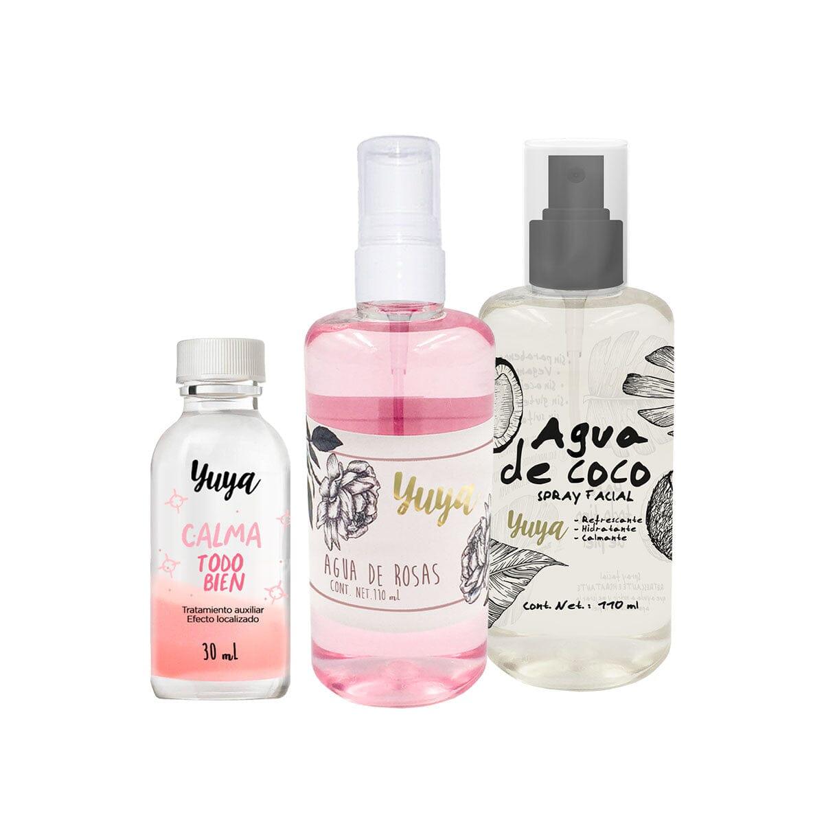 Organic Coconut Water & Rose Water Facial Mist Set - Hydrating, Soothing & Refreshing Spray for Dry Skin - Perfect for Travel, Gym & Daily Skincare Routine